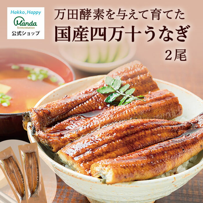 【公式】四万十うなぎ 蒲焼き 2尾 110g×2 高知県産 タレ付き 万田酵素 を与えて育てた 国産うなぎ うなぎ 鰻 ウナギ 土用の丑の日 お歳暮 お中元 贈り物