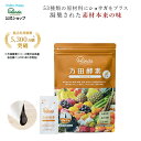 【公式】 万田酵素 ジンジャー ( 分包 ・ ペースト /約1ヶ月分) 発酵食品 発酵 生姜 しょうが ショウガ フルーツ 植物性 健康 美容 手軽 栄養補助 保存料不使用 送料無料