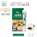 【20%OFFクーポン&10倍P】公式 万田酵素 スタンダード ( チューブ ・3本セット) 万田 酵素 万田発酵 サプリ サプリメント 健康 美容 果物 野菜...