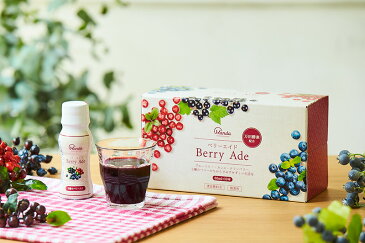 【公式】ベリーエイド Berry Ade 65ml×10本 万田発酵 万田酵素 ドリンク ブルーベリー カシス クランベリー 香料不使用 期間限定