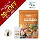 【20%OFFクーポン&10倍P】公式 万田酵素 ジンジャー ( 分包 ・ ペースト /約1ヶ月分) 発酵食品 発酵 生姜 しょうが ショウガ フルーツ 植物性...
