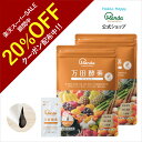 【20%OFFクーポン&10倍P】公式 万田酵素 ジンジャー 2袋 ( 分包 ・ペースト/約2ヵ月分) 万田酵素 しょうが 野菜 果物 健康 美容 発酵 美味しい 人気 ヘルシー 健康習慣 美容食 発酵食品 ショウガ 生姜 【楽天スーパーセール期間中】