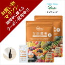 【50%OFFクーポン】 炭と菌の生酵素生活 野菜不足 生酵素 こうじ酵素 コンブチャ 麹酵素 酵素 ダイエット 酵素 サプリ ダイエットサプリ 酪酸菌 乳酸菌 30日分 送料無料