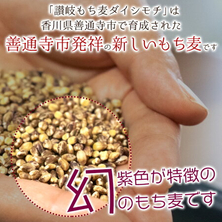 【送料無料】讃岐もち麦ダイシモチ900g香川県善通寺市産Aランクもち麦