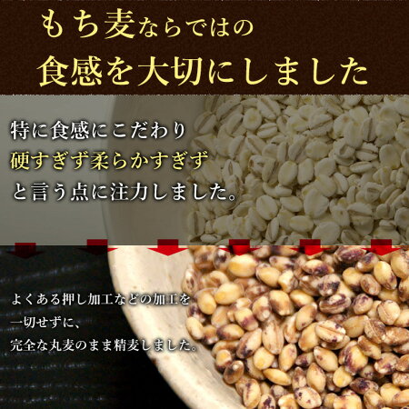 【送料無料】讃岐もち麦ダイシモチ900g香川県善通寺市産Aランクもち麦