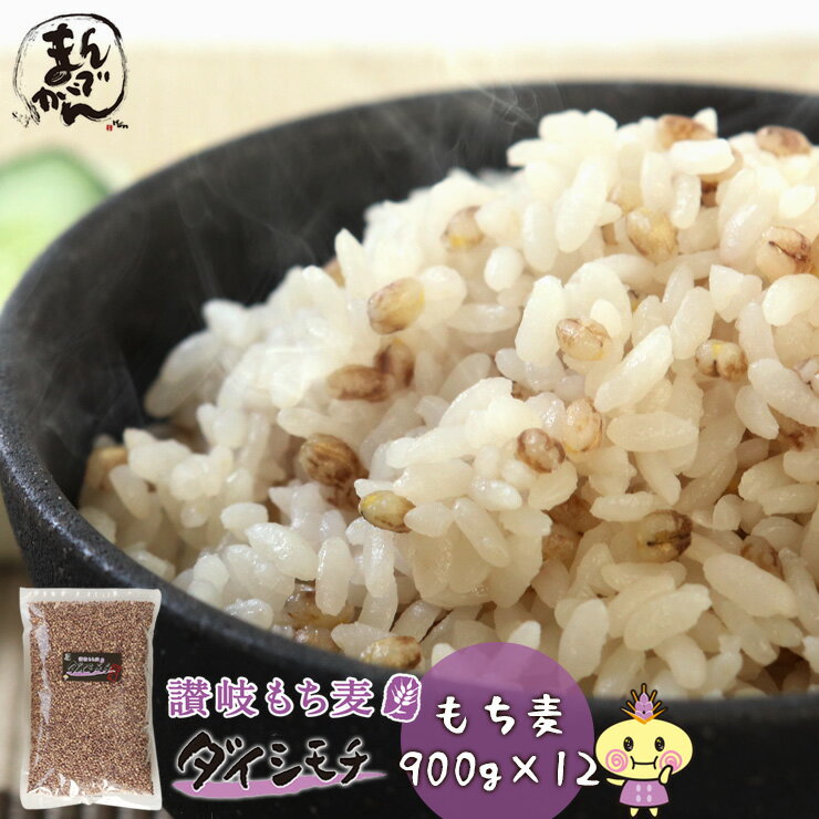 【当店最安値！16.6％OFF‼ / 送料無料】讃岐もち麦 ダイシモチ 900g 12袋セット 香川県 善通寺市産 Aランクもち麦たっぷり βグルカンが入った幻の もち麦 たっぷり900g入り 安心のチャック付き 野菜不足 オススメ 食物繊維 腸活