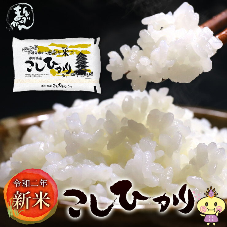 【送料無料】【令和2年産新米】香川県産「コシヒカリ」10kgセット(香川県産コシヒカ...