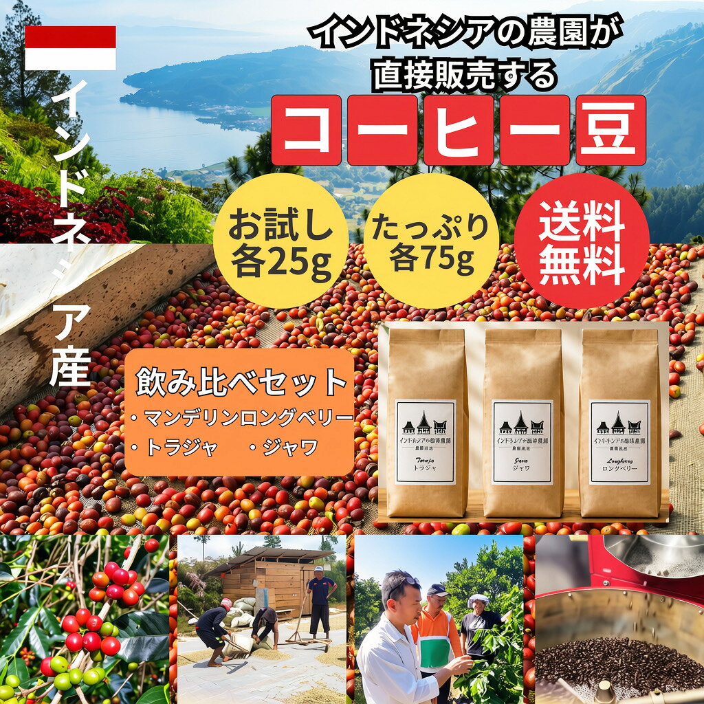 インドネシアコーヒーマンデリンロン...