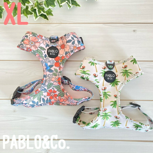 PABLO&Co. ハーネス harness XLサイズ 調節可能 アジャスター 犬 犬用品 犬具 犬用 犬用品 胴輪 首輪 カラー リード 柄 総柄 カラフル おしゃれ オシャレ ペットグッズ 散歩 速乾 メッシュ パブロ