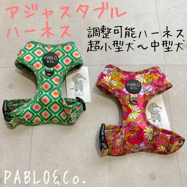 PABLO&Co. ϡͥ harness Ĵǽ 㥹      ƹ  顼 ꡼   ե   ڥåȥå  ® å ѥ֥եåȡȴˤǨ餻 Ķ  淿