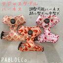 楽天M＆M　famPABLO&Co. ハーネス harness 調節可能 アジャスター 犬 犬用品 犬具 犬用 犬用品 胴輪 首輪 カラー リード 柄 総柄 カラフル おしゃれ オシャレ ペットグッズ 散歩 速乾 メッシュ パブロ　フィット　抜けにくい　濡らせる 超小型犬 小型犬 中型犬