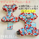 【日本初上陸】PABLO&Co. ハーネス 抜けにくい harness 調節可能 アジャスター 犬 犬用品 犬具 犬用 犬用品 胴輪 柄 総柄 カラフル おしゃれ オシャレ ペットグッズ 散歩 速乾 メッシュ パブロ フィット 濡らせる 超小型犬 小型犬 中型犬 Dr.suess