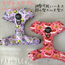 PABLO&Co. ハーネス harness 調節可能 アジャスター 犬 犬用品 犬具 犬用 犬用品 胴輪 首輪 カラー リード 柄 総柄 カラフル おしゃれ オシャレ ペットグッズ 散歩 速乾 メッシュ パブロ 超小型犬 小型犬 中型犬 大型犬 濡らせる 洗濯可能 洗える(4)