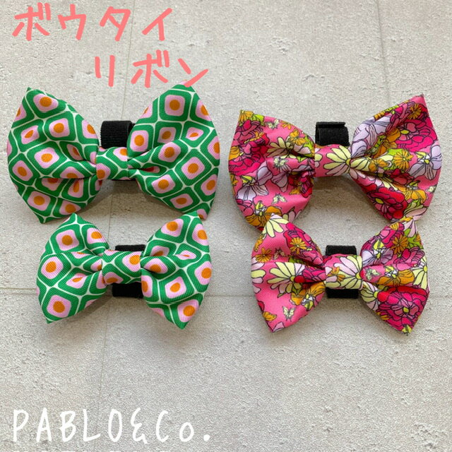 PABLO&Co. ܥ ܥ ĳͥ   ǭ ǭ ڥå ڥåȥå   ǭ  顼 ϡͥ ƹ...
