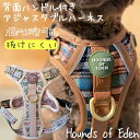 【日本初上陸】HoundsofEden ハンドル付きハーネス 抜けにくい harness 調節可能 アジャスター 犬 犬用品 犬具 犬用 胴輪 柄 総柄 カラフル おしゃれ オシャレ ペットグッズ 散歩 小型犬 中型犬 大型犬 抜けない 脱げにくい チェック 花柄(4)