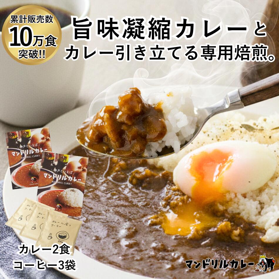 スパイス感＆フルーティな味わい！ レトルトカレー2食＆ドリップコーヒー3袋 セット たっぷり玉ねぎとスパイスの辛味香る濃厚ルー スパイスカレー 常温保存 お試し 高級