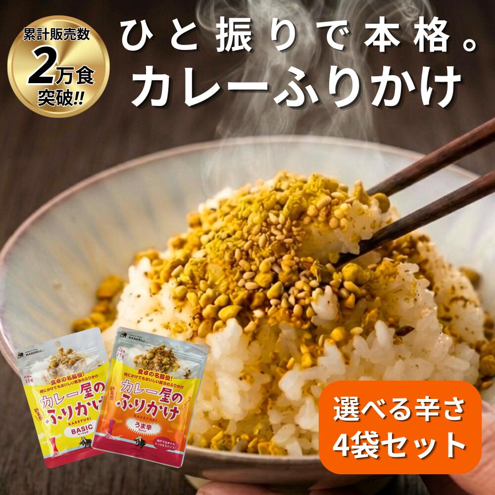 【レビューキャンペーン実施中】累計2万食!!リピ率高め!!カレー ふりかけ4...
