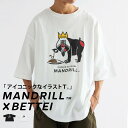 Tシャツ antiqua×マンドリル コラボグッズ マンドリル オリジナル ロゴ入り M/Lプリント 半袖Tシャツ レディース メンズ 男女兼用 トップス バスクTシャツ ゆったり ユニセックス カットソー