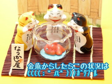 招き猫 置物 まねきねこ 開店祝い 【新商品】金魚鉢と招き猫トリオ【まねき猫 専門店 金魚 開運グッズ 外国人 お土産 夏祭り 景品 夏祭り景品子供会 夏 インテリア 夏 飾り 風水 風水グッズ ふちねこ】