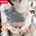 ポイント消化 消費 湯たんぽ 足元 ぬいぐるみ 猫 ねこ 大きい あったか グッズ 猫 雑貨 小物【copine USB ウォームクッション】おしゃれ 大人女子...