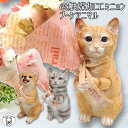 お中元 猫好き 送料込み ギフト ネコ プレゼント 開店祝い 周年祝い 移転祝い お花 ペットサロン 女性 誕生日 結婚記念日 両親 置物 猫グッズ 雑貨 ギフト 送料無料 おしゃれ 健康 【CT触媒加工ミニョン ブーケ アニマル】 還暦祝い 贈り物 フラワーアレンジ