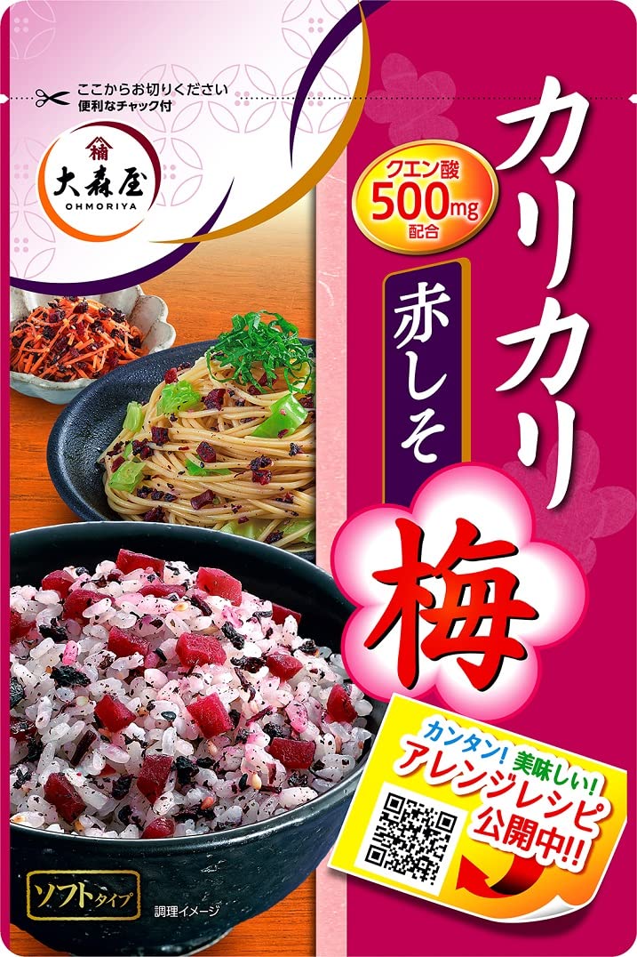 大森屋 大森屋 カリカリ梅赤しそ 40g×10個