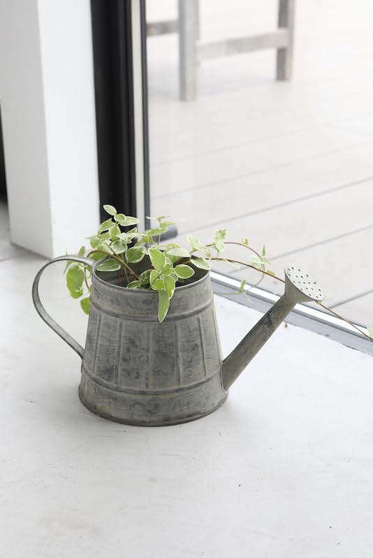 コベントガーデン ジョーロ ポットカバー シルバー サイズ：約W29 D15 H13.5/口径：約φ14 深さ：約12.5..