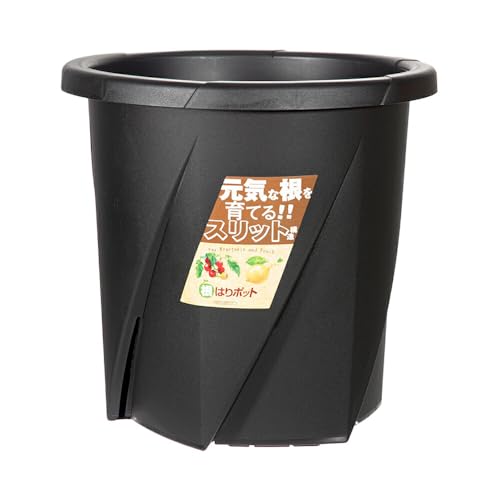 ���¥ץ饹���å� ����å�ȭ ���Ϥ�ݥå� 30�� �֥�å� ��ڤȲ̼��˻Ȥ����緿����åȥݥå� ����̵��