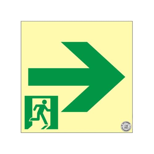 緑十字 中輝度蓄光避難誘導ステッカー標識 非常口→ 200×200mm 消防認定品 068018 送料無料