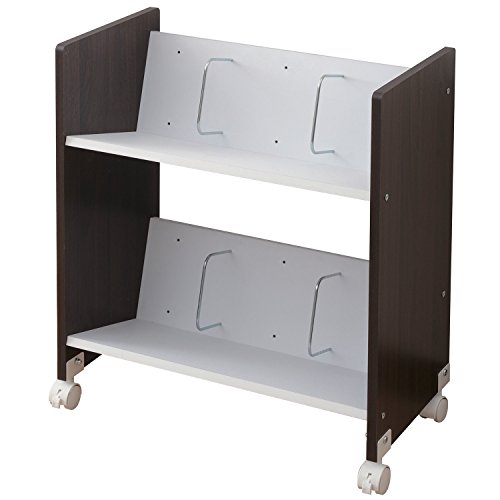 山善(YAMAZEN) A4ファイルラック 2段 キャスター付き 斜めで取り出しやすい 幅55×奥行30×高さ65.5cm 書類収納 フ 送料無料