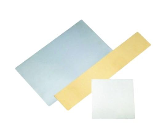 IWATA シムプレートSUS TS100-200-05 送料無料