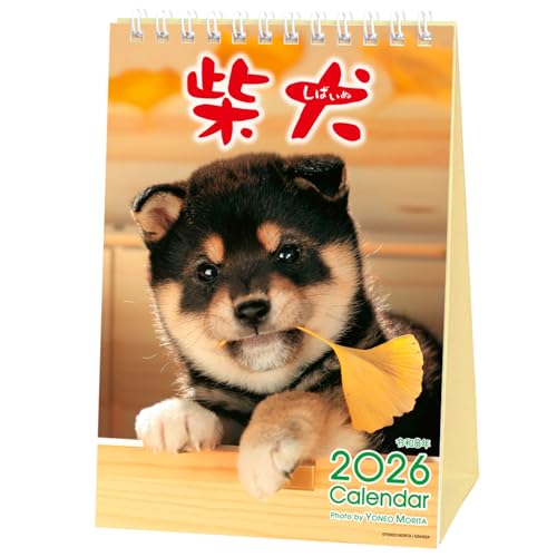 乐天商城 - アクティブコーポレーション 2026 カレンダー 卓上 森田米雄 まるごと柴犬 26ACL-543 2026年 1月始まり 送料無料