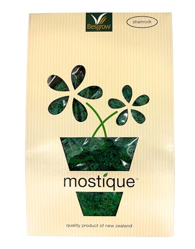 水苔ベースグリーン/2 L/9416922000522・Size:2 LColor:グリーン・原材料：水苔・品目/用途：水苔・肥料・ハンギング・リース・テラリウム・レジン・苔玉・ギャザリング・アート・蘭・フラワーアレンジメント・トピアリーハンギングやテラリウムなどの装飾から植物の栽培まで幅広くお使い出来ます。染料は植物にも無害なものを使用しておりますので、安心安全にお使いできます。