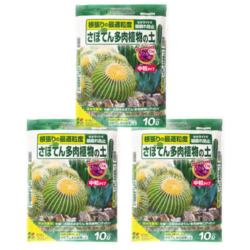 バーミキュライトなし/10L×3袋/20673・Size:10L×3袋・容量：10L×3袋・製造：日本・適用：サボテン、シャコバサボテン、クジャクサボテン、月下美人、多肉植物・主原料：パーライト、軽石、バーミキュライト、ゼオライト・特長：排水性を重視した軽石ベース商品紹介 軽石ベースなので排水性がよく、根腐れを防ぎます。さらに、水の腐敗を防止して根傷みを防ぐ、ゼオライトを配合。 安全警告 粉塵を吸い込まないようご注意ください。お子様の手の届かない場所で保管してください。