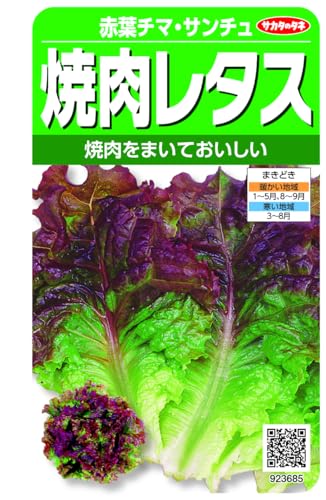 赤葉チマ・サンチュ種/2.5ml/00923685・Size:2.5mlStyle:赤葉チマ・サンチュ・パッケージ個数:1・切替月:6月・詰量:2.5ml・発芽率:85%・採苗本数:600・春秋扱い:春秋兼用種サカタのタネ 実咲野菜3685 焼肉レタス(赤) 赤葉チマ・サンチュ 【ご注意】詰量、発芽率等は採取年により変動する場合があります