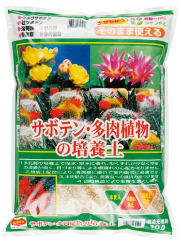刀川平和農園平和サボテン・多肉植物...
