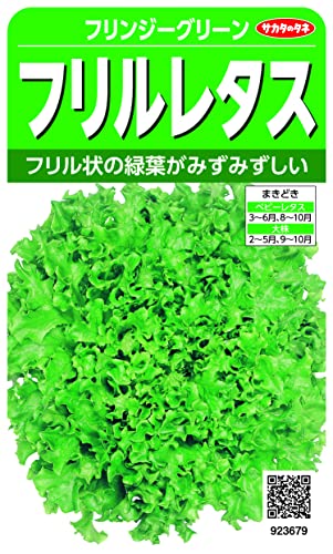 フリンジーグリーン緑/3ml/00923679・Size:3mlStyle:フリンジーグリーン・切替月:6月・詰量:3ml・発芽率:85%・採苗本数:1000・春秋扱い:春秋兼用種商品紹介 サカタのタネ 実咲野菜3679 フリルレタス(緑) フリンジーグリーン 【ご注意】詰量、発芽率等は採取年により変動する場合があります 原材料・成分 種