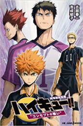ハイキュー 全巻セット コミック・アニメ : Amazon・楽天・ヤフー等の ...