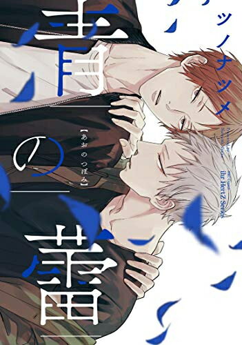 Shogakukan Flower C - [新品]青の蕾 (1巻 全巻)