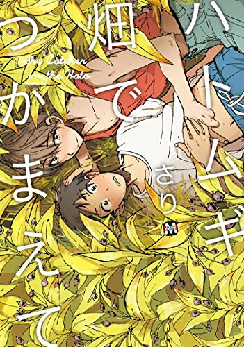 Love Max Comics - [新品]ハトムギ畑でつかまえて (1巻 全巻)