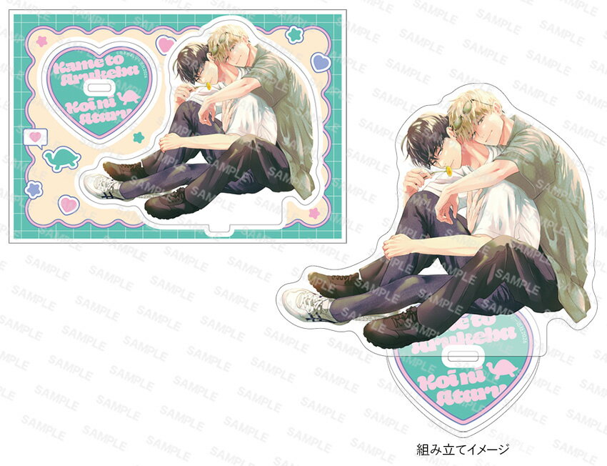 [2026年6月15日発売予定][新品]【有償特典付き】カメと歩けば恋に当たる[予約]