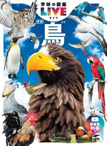 製品画像：24位