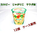 カルビー じゃがりこ サラダ 12個入り☆☆菓子 ギフト 詰合せ 子供 職場 おつまみ パーティー 駄菓子 お家 人気 景品 旅行 菓子セット 満足 安い イベント お菓子詰め合わせ☆☆ お菓子の満月