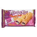ブルボン ガトーレーズンFS 12袋入り ☆☆菓子 ギフト 詰合せ 子供 職場 おつまみ パーティー 駄菓子 お家 人気 景品 旅行 菓子セット 満足 安い イベント お菓子詰め合わせ☆☆ お菓子の満月