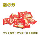 銀の汐 リッチバタークッキーミニ 100個☆☆菓子 ギフト 詰合せ 子供 職場 おつまみ パーティー 駄菓子 お家 人気 景品 旅行 菓子セット 満足 安い イ...