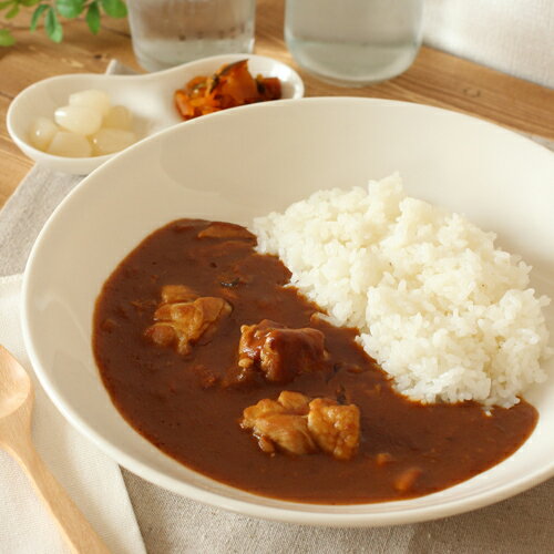  （27cm） ◎アウトレット品　/　パスタ皿 カレー皿 白い食器 大皿 業務用食器 ホワイト シンプル おしゃれ