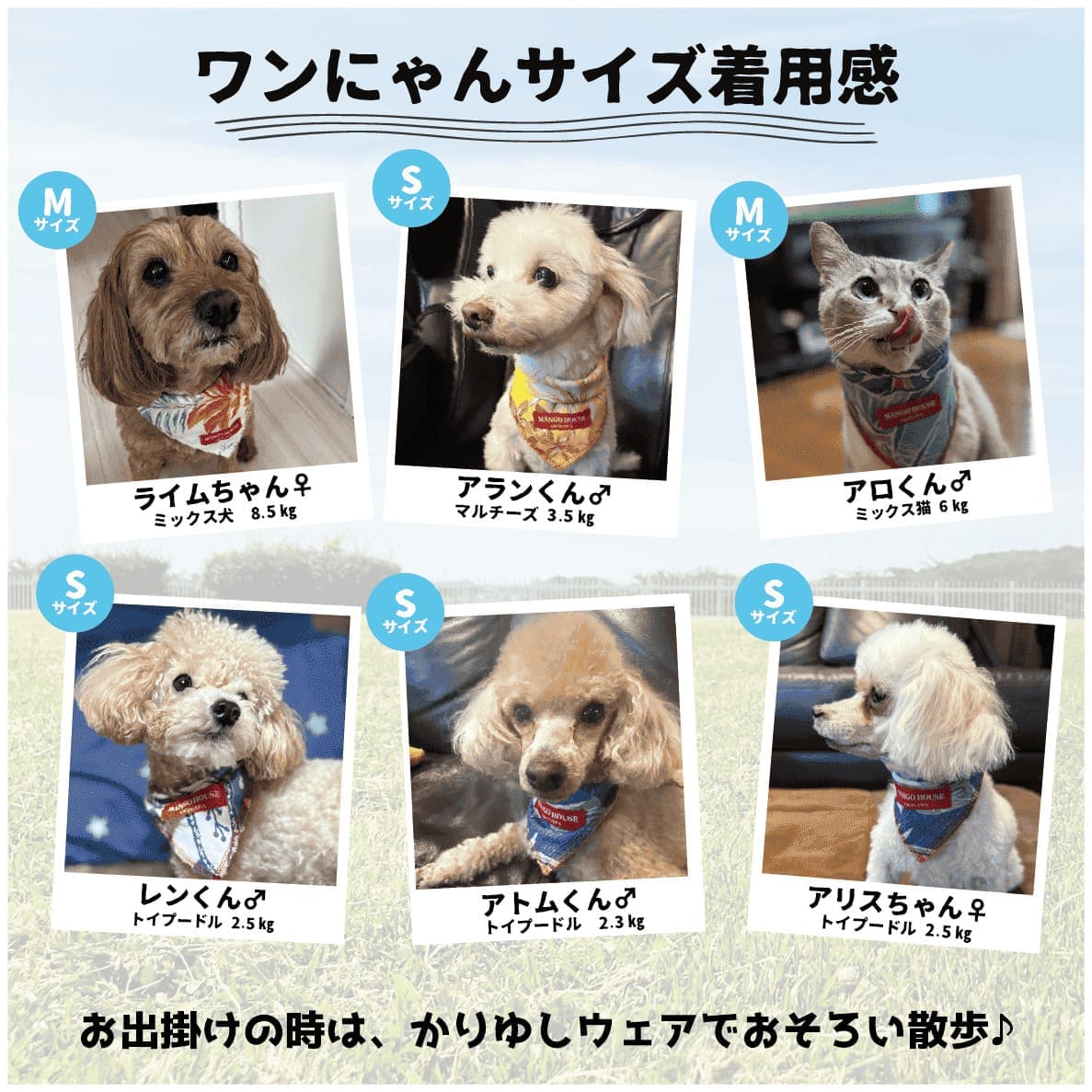 ペット バンダナ かりゆしウェア 犬 猫 わんちゃん ネコちゃん お揃い 散歩 旅行 ...