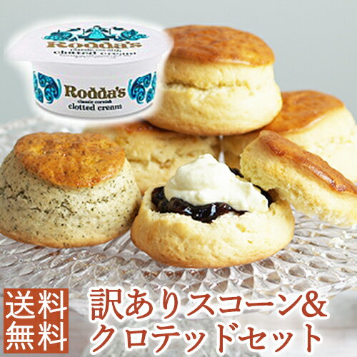 【訳あり福袋】デメララベーカリー ダブルバタースコーン 種類おまかせ12個＆Roddasロダスクロテ ...