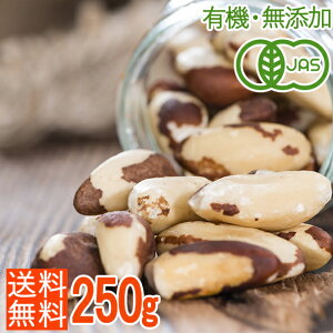 【送料無料】＜有機・無添加・油不使用＞オーガニックブラジルナッツ250g/エイジングケアに 注目のスーパーナッツ/生ナッツ/非加熱・無塩