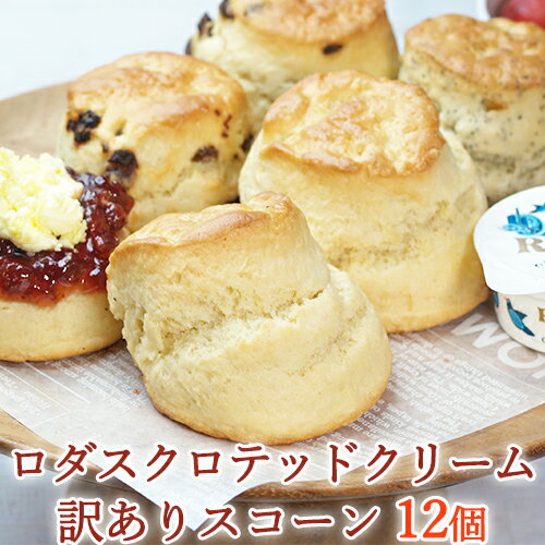 送料無料【訳あり福袋】＜Rodda’s ロダス＞ クロテッドクリームスコーン（ミックス）12個セット 濃厚しっとり極上スコーン